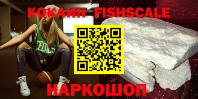 индика Усть-Джегута