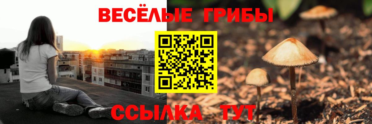 Галлюциногенные грибы прущие грибы Сланцы